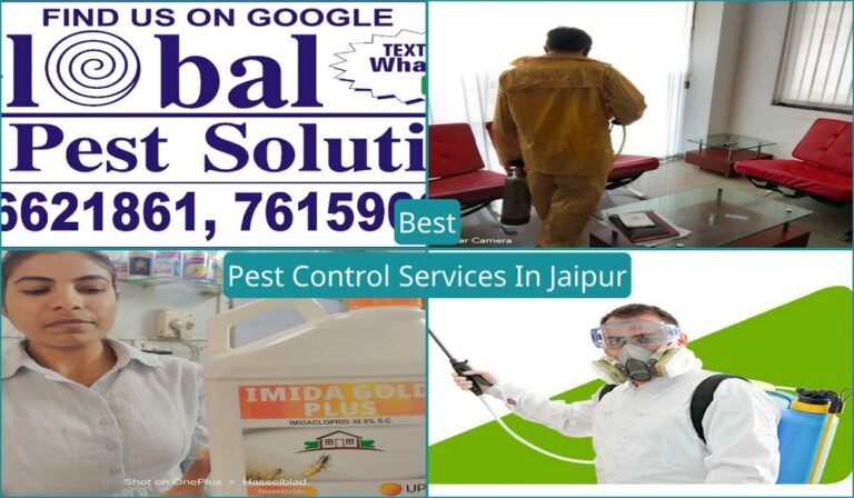 Best Pest Control Services In Jaipur